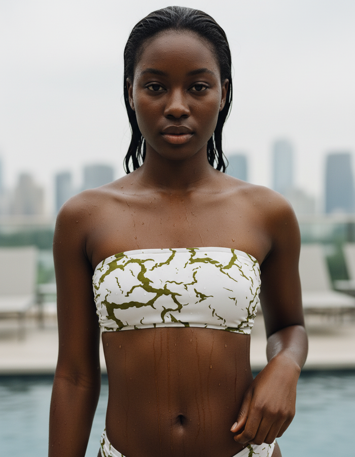 Bandeau — Acacia Vector