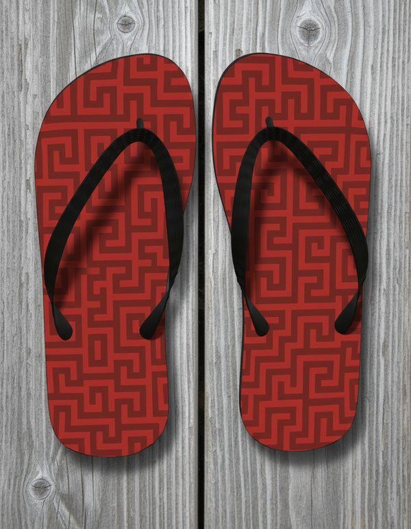 Flip Flops in Akari