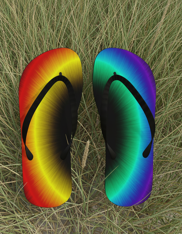 Flip Flops in Prism