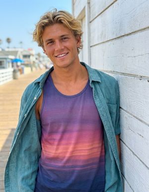 Sunset Collection Tank Tops tank tops