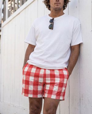 Gingham Collection Swim Trunks swim trunks