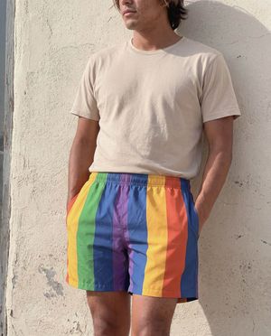 Vibrance Men's Swim Trunks Men's Swim Trunks — Lolekai
