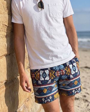 Amaranth Sol men's swim trunks