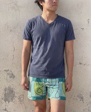 Runway Emerald Lustre men's swim trunks