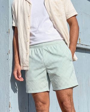 Celadon men's swim trunks