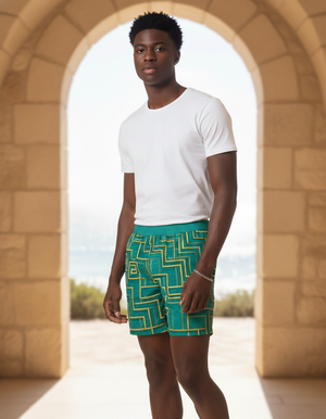 Elysium Men's Swim Trunks Men's Swim Trunks — Dripper