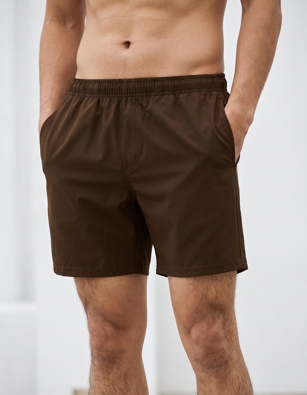 Men's Swim Trunks in Chocolate