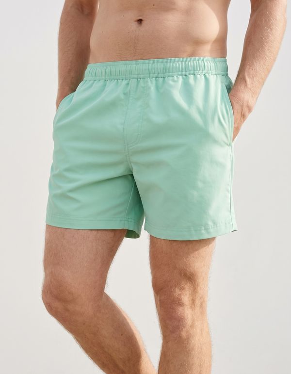 Men's Swim Trunks in Jelly Mint